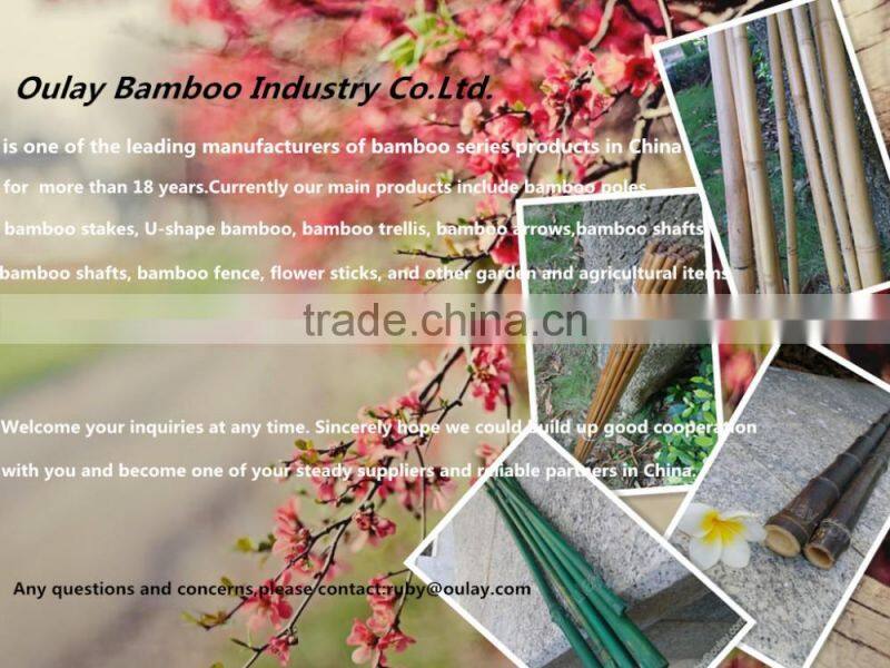 Nature Bamboo Flower Vases Bamboo Poles Material With Spoon