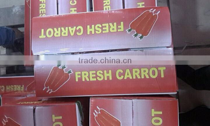 Chinese wholesale carrot