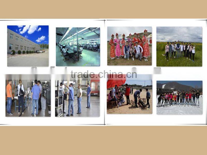 2016 DS200 Digital analog output soil moisture & temperature sensor