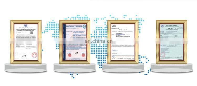 Double head Magnetic Pump Liquid Filling Machine for liquid