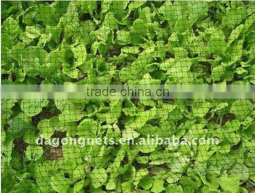 100% HDPE anti-bird netting