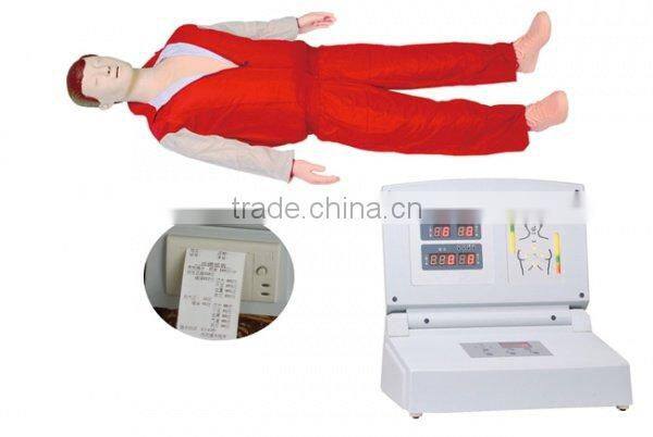 pathology Transparent teeth model