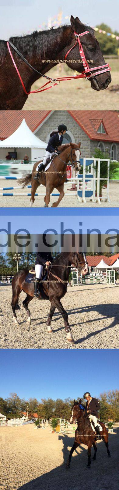 Top quality Cold-resistant racing horse martingale
