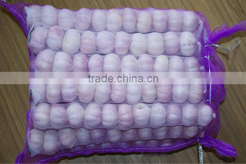 China Red Garlic Price Store Garlic
