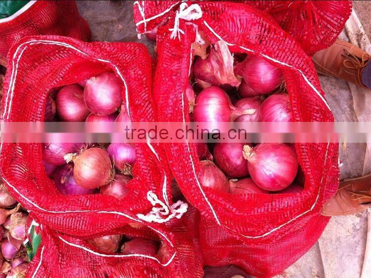 50mm size red onion