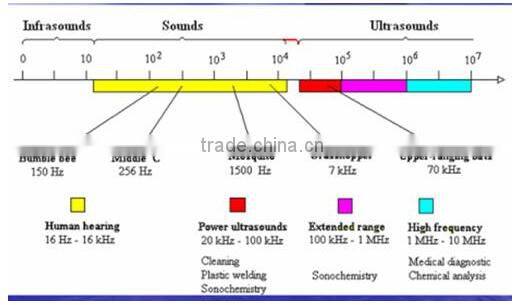 GTZ20F1500 Ultrasonic tubular Reactor ultrasonic transducer