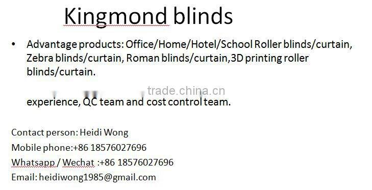 New style double layer fabrics zebra blinds