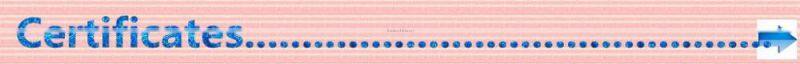 Wholesale magic coin tissues, compressed round towels, new facial napkin