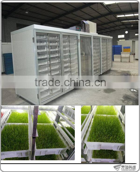 Hot Sale Automatic Barley Seedling Machine