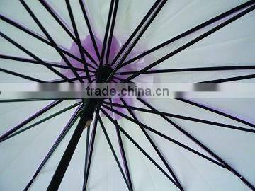 apollo lady umbrella