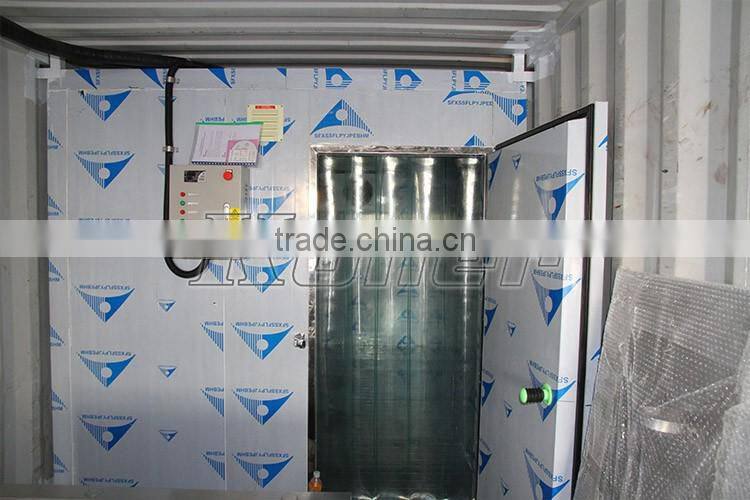 5 Tons Block Ice Making Plant Built in Container