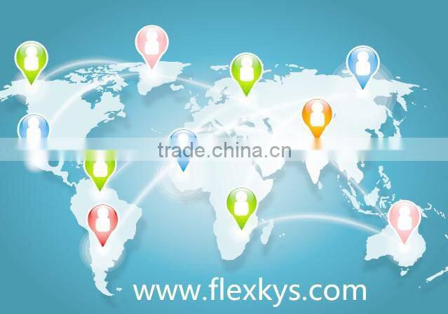 Custom power board overlay switch for flowmeter