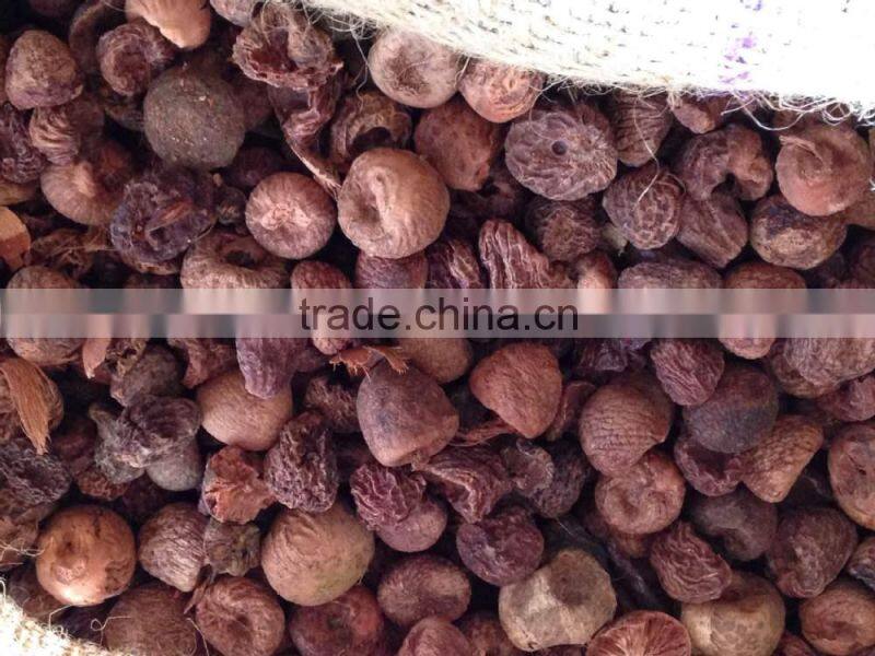SELLING BOILED BETEL NUT without Wrinkle seeds FROM VIETNAM
