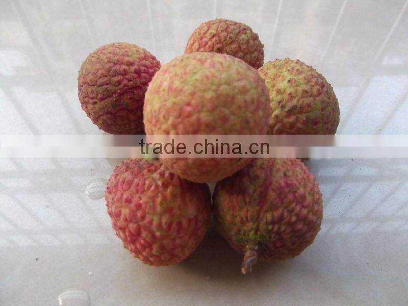 Chinese Fresh Lichee with competitive price