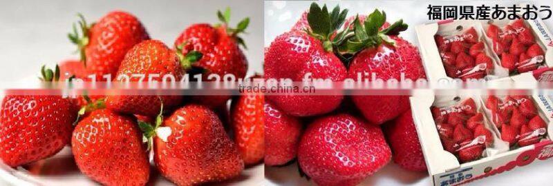 Delicious Komitsu Fuji apple , other fruits also available