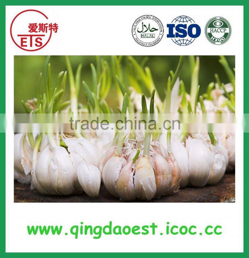 Jinxiang garlic contact me