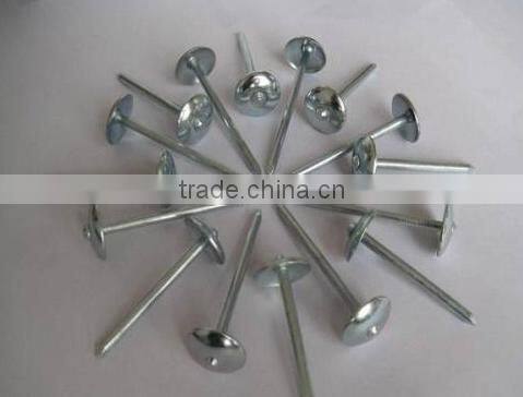 COMMON IRON NAILS FROM CHINA