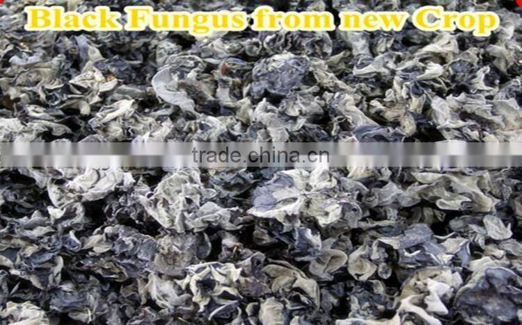 top quality black fungus dried agaric mushroom