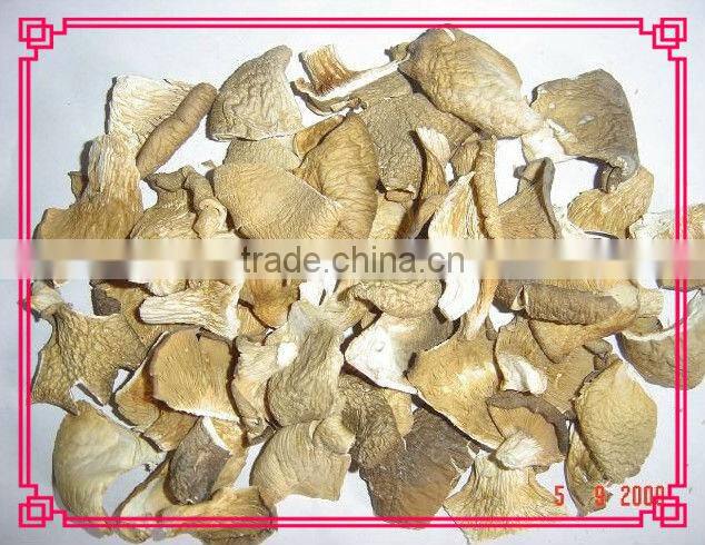 Dried pleurotus ostreatus