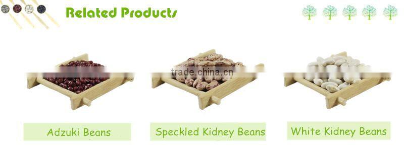 2016 Hot Selling Wholesale Peanuts