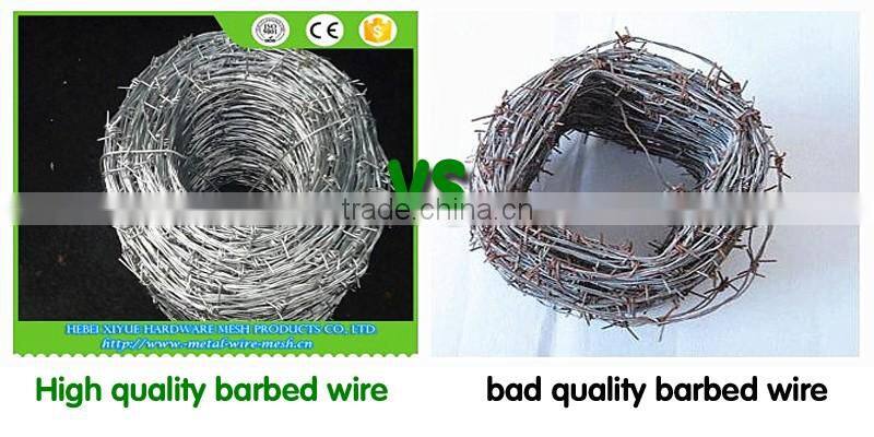 hot Galvanized double twisted 14#x14# barbed wire fob price per roll