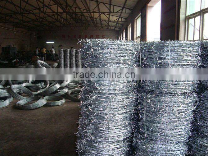 Electro galvanized barbed wire manufactory