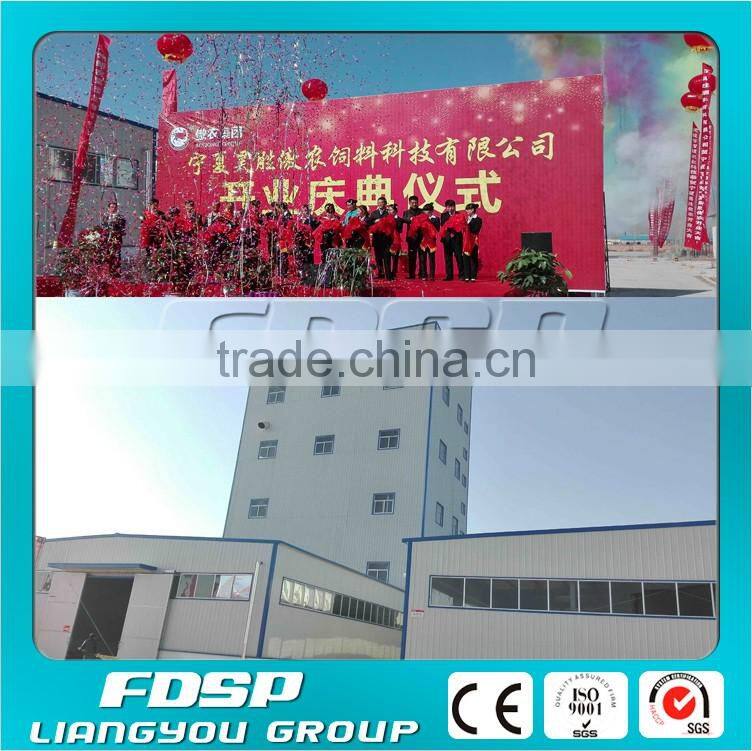 Fully Automatic Batching System & Bagging System Feed Mill Plant/Feed Production Line for Poultry