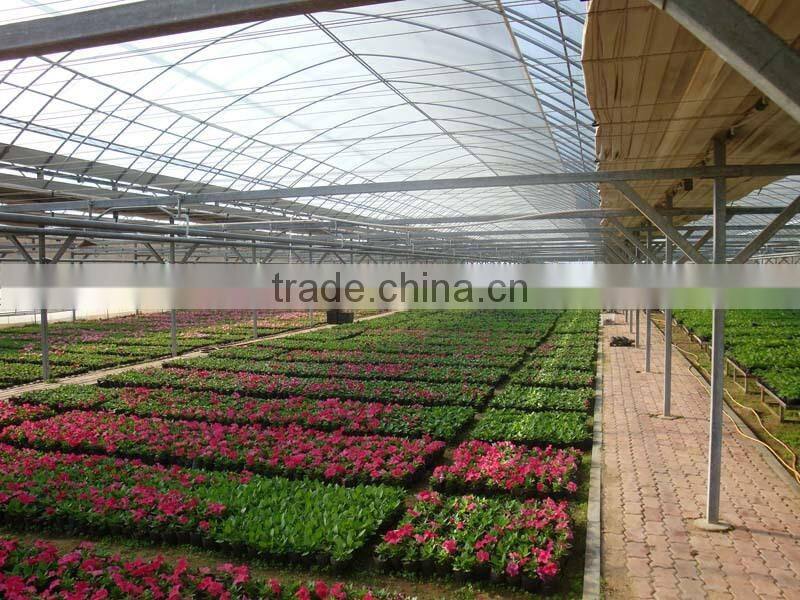 Manufacture greenhouse plastic film for fruits vegetables flowers
