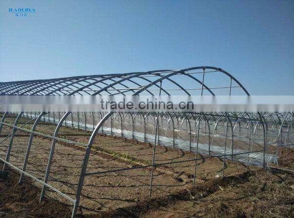 Metal pipe greenhouse tunnel