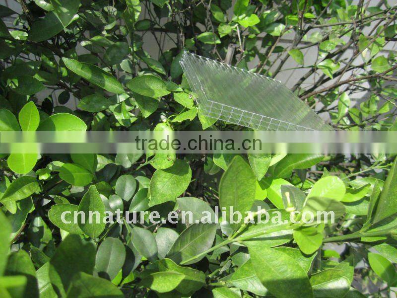 triple wall polycarbonate sheet
