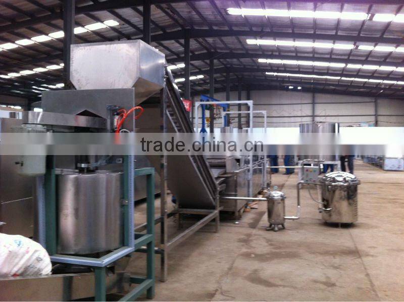 continuous frying system manufacturer