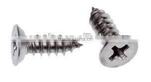 Made in Taiwan stainless steel 306 standard Tapping Screw self tapping screw