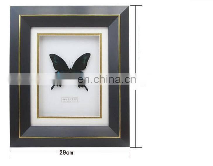 Nature real butterfly frame home decoration craft