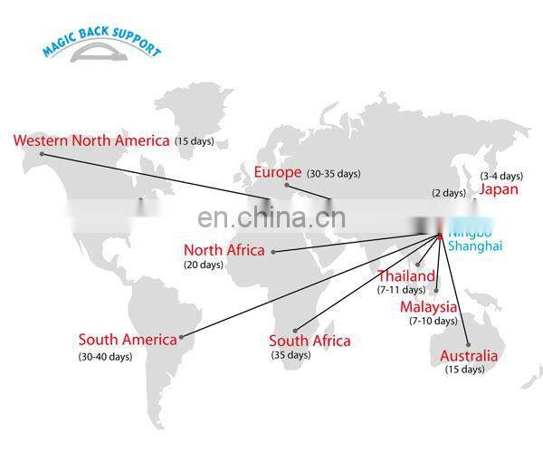 Magnetic lumbar back stretcher