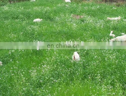 Russia ,Ukraine market ,9GB series tractor pto mower/reciprocating robot lawn mower