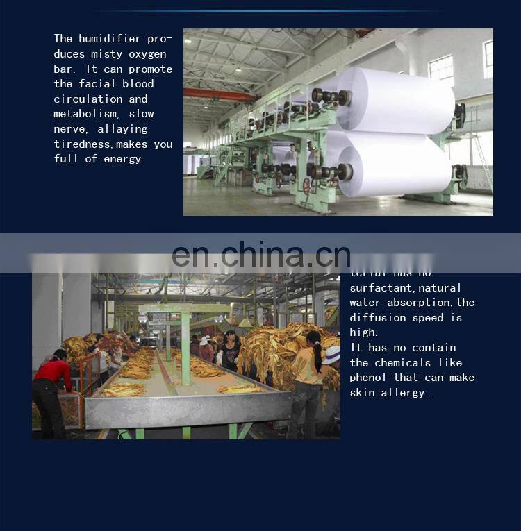 Shanghai Belin portable chamber humidifier with anion