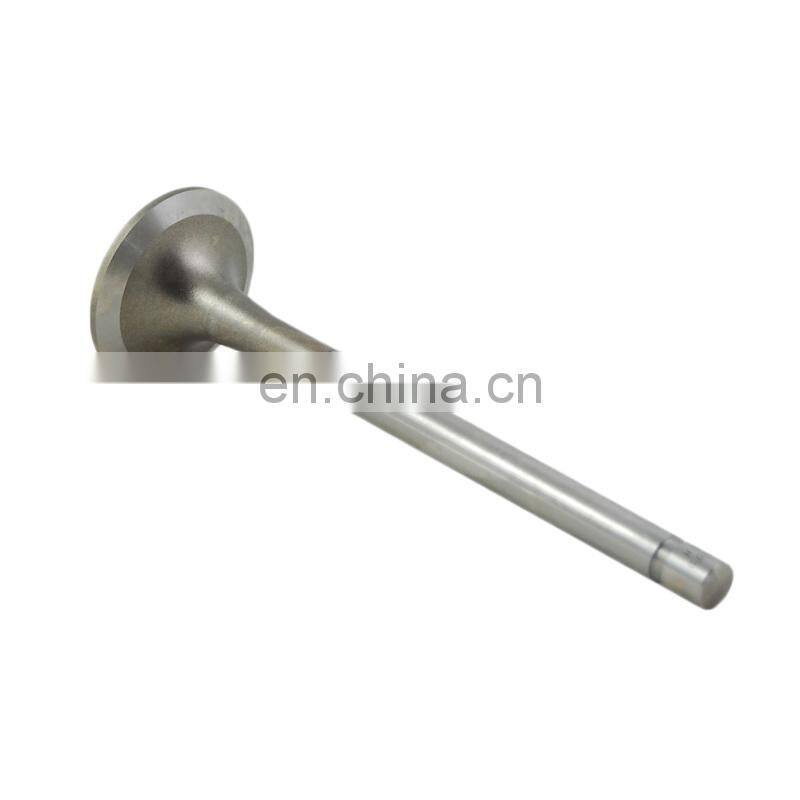 207241-Intake-Valve-for
