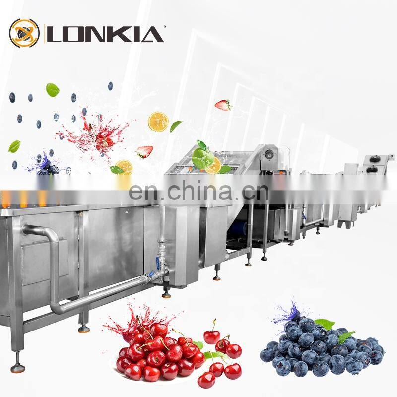 LONKIA Full Automatic Root/ Leafy Vegetables/Fruit/Salad Washing Dehydrator Line Water Bubble Washing with Factory Price