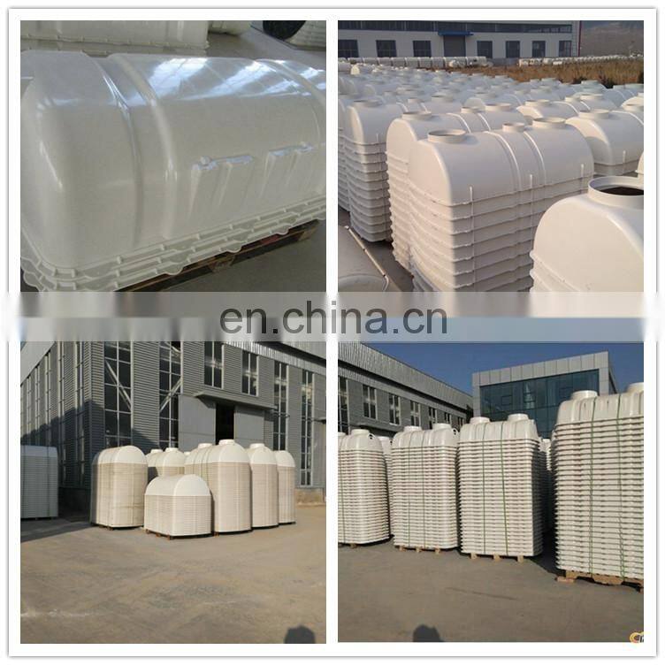 Customized Capacity Fibreglass Reinforced Plastic Material SMC Molded Household HDPE Septic Tank
