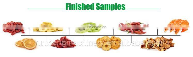 Fruit dry oven/small fruit drying machine/industrial fruit tray dryer