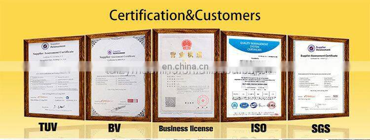 Automatic papaya drying fish machine fruit dehydrator in Ghana