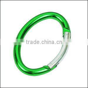 Aluminum Carabiner with Led Torch