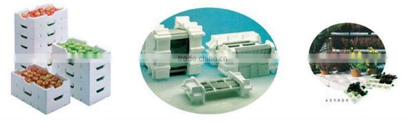 Automatic EPS Production Line with Best Quality