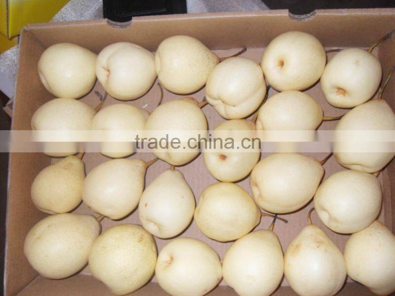2015 new crop Chinese fresh Ya pear for export