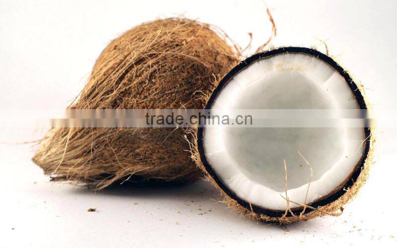 SEMI HUSKED COCONUT PRICE