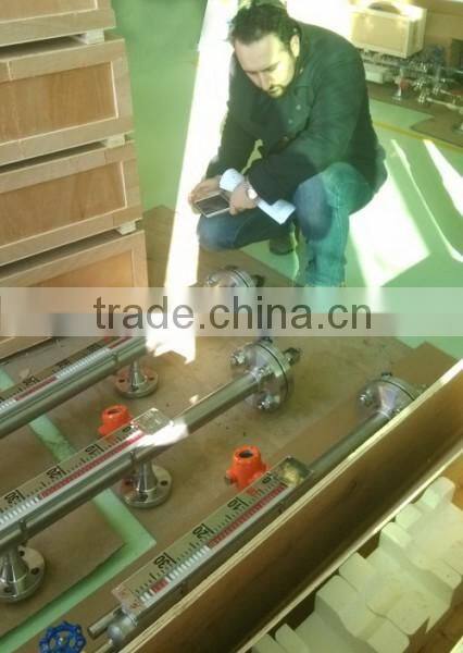 hot sale corrosion resistant with remote transmitter chemical plant PTFE magnetic level indicator