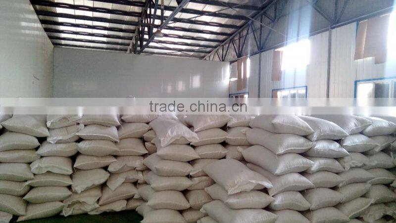 Competitive Sweet Paprika Seeds