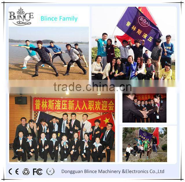 New free Rotary Vane Pump,Cartridge repair Kit Block-Rotor-vanes,used on hydraulic pumps for sale