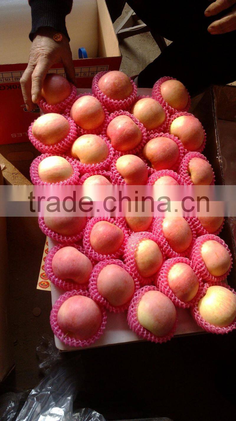 apple planter chinese apple fuji apple carton 20kg