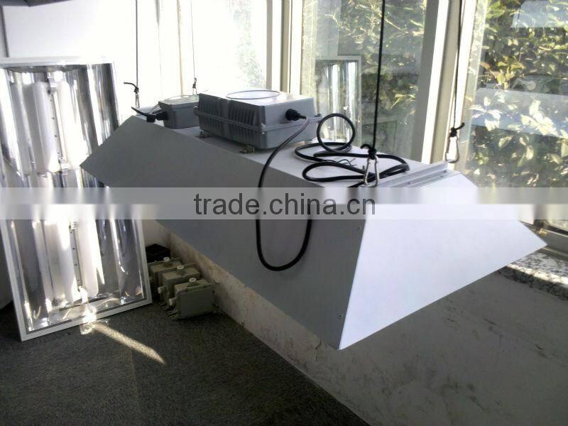 NEW 200-400W grow light-magnetic induction lighting-induction grow light